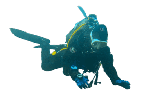 Avaleht sukelduja vees